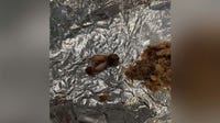 Austin woman sues Torchy's Tacos after finding 'cow tooth' in her taco