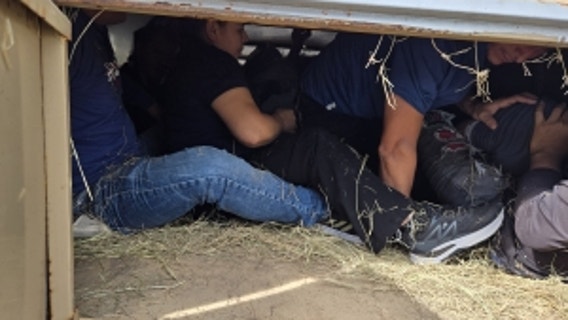 Texas man found guilty of smuggling migrants in cattle trailer behind hay bales