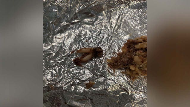 Austin woman sues Torchy's Tacos after finding 'cow tooth' in her taco