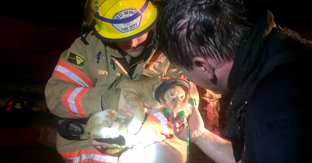 Family dog wakes up owners during home fire | FOX 9 Minneapolis-St. Paul