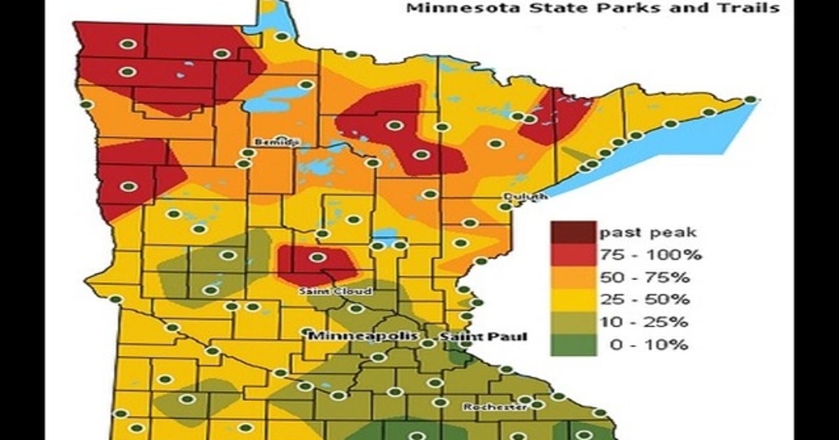 Fall colors starting to peak in the northland | FOX 9 Minneapolis-St. Paul