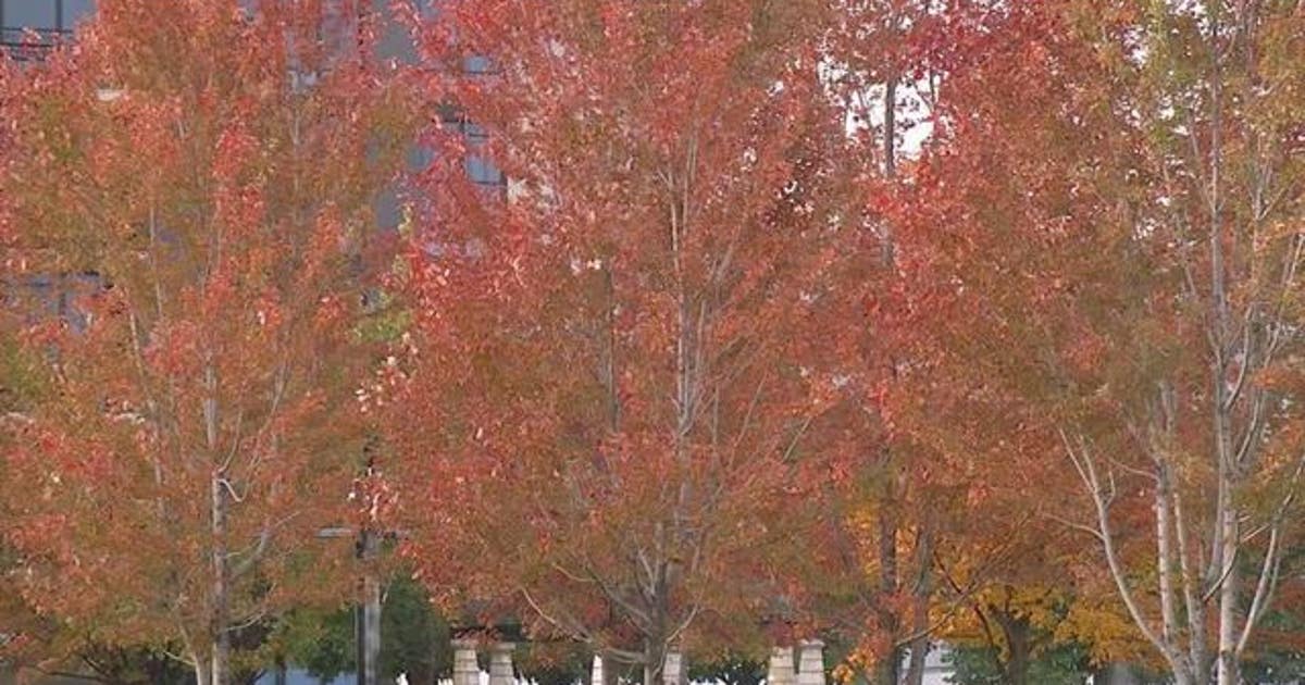 Fall colors expected to be 'near perfect' this season | FOX 9 ...