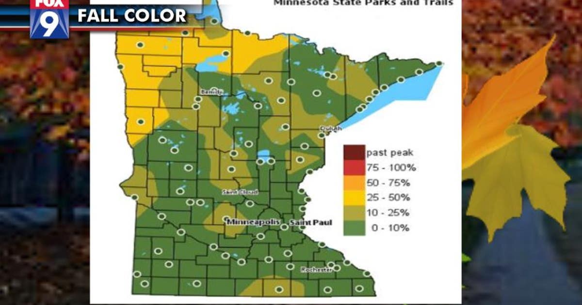 Despite the heat, fall is here | FOX 9 Minneapolis-St. Paul