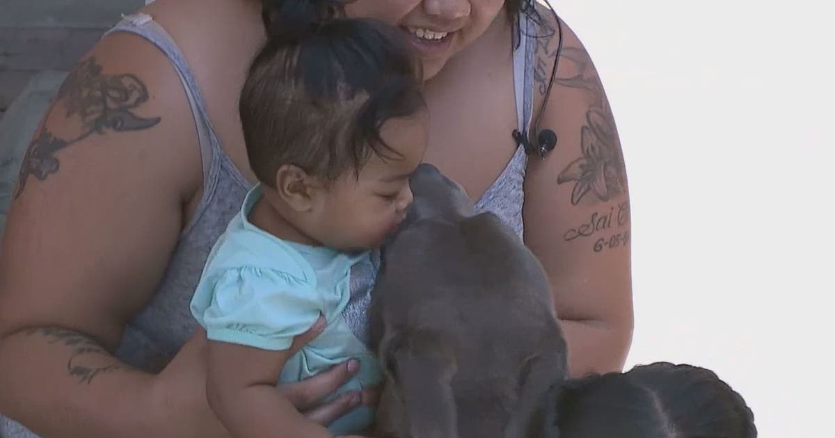 Family dog helps save family from fire | FOX 9 Minneapolis-St. Paul