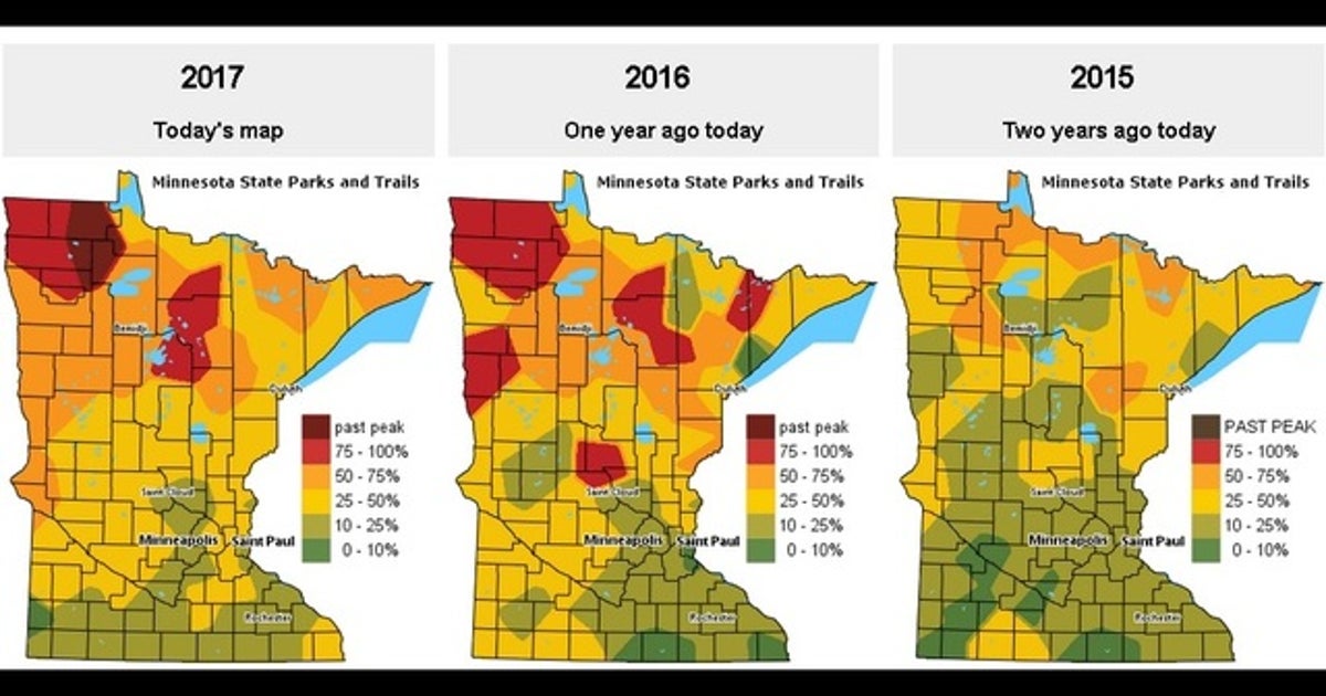 Fall colors are starting to peak in the north | FOX 9 Minneapolis-St. Paul