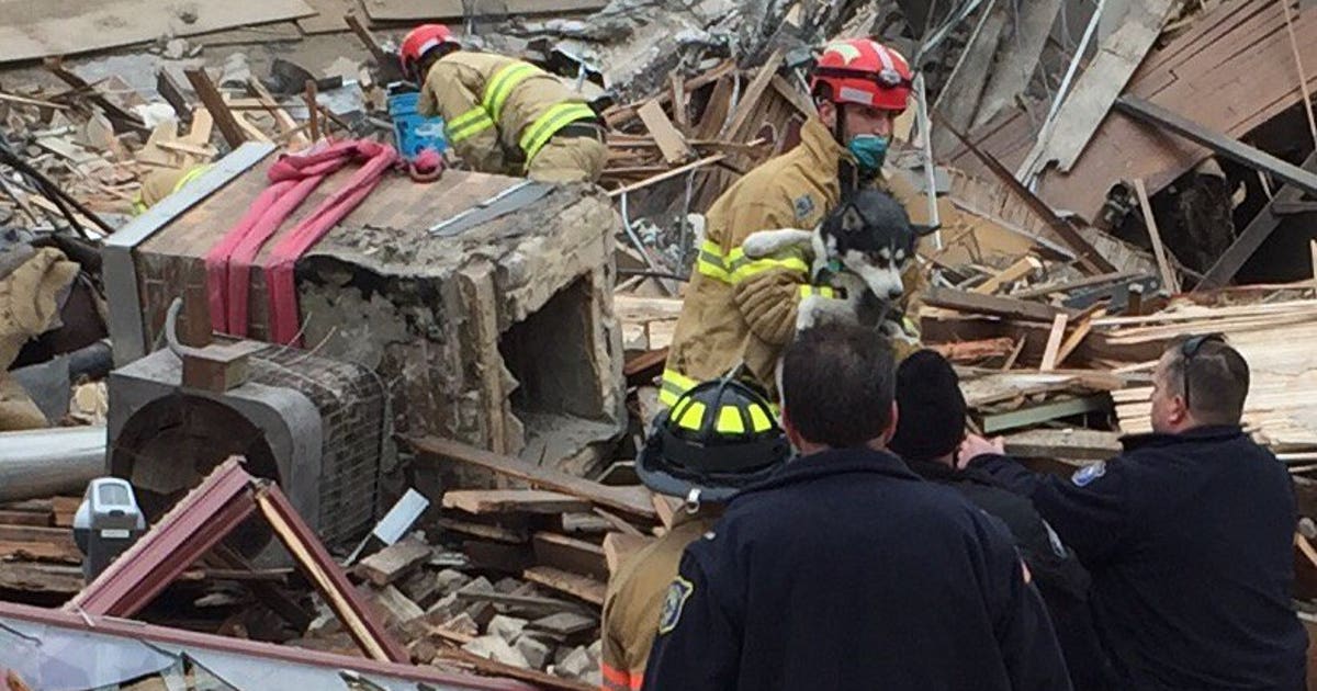Sioux Falls building collapse: Woman, dog pulled alive from rubble ...