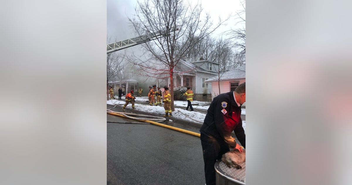 Cat uses 1 of its 9 lives, escapes St. Paul fire | FOX 9 Minneapolis-St ...