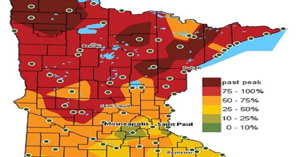 Fall colors starting to peak | FOX 9 Minneapolis-St. Paul