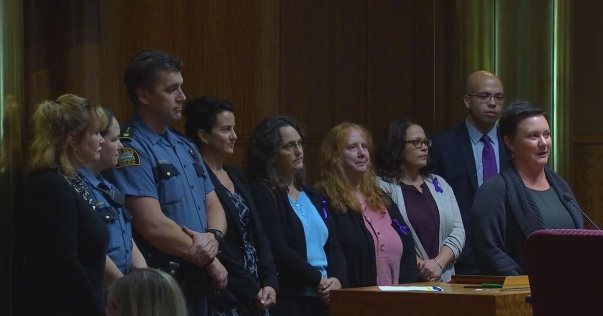 Domestic violence prevention program has success in St. Paul | FOX 9 ...