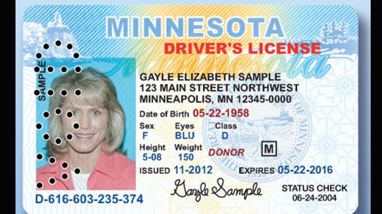 Minnesota drivers license template