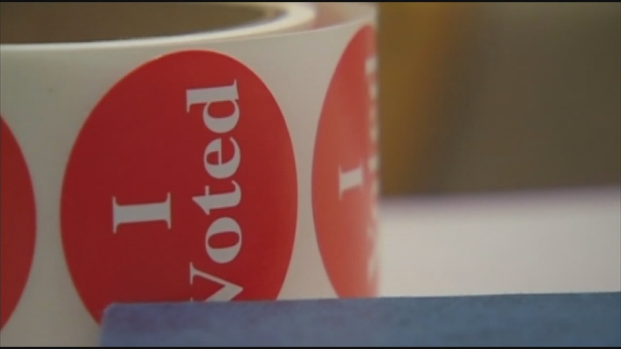 Minnesota Primary Early Voting Turnout Sees Huge Increase | FOX 9 ...