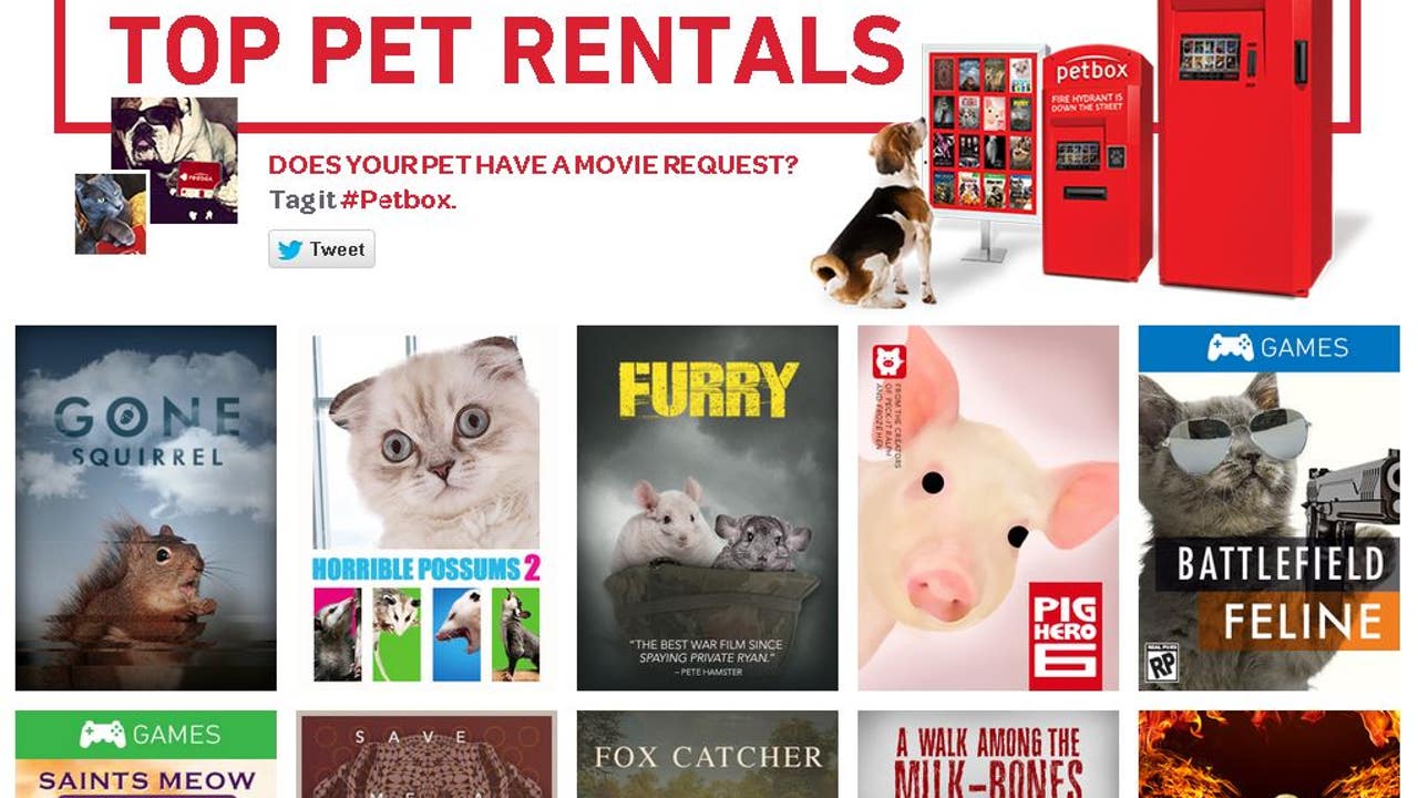 petbox customer service