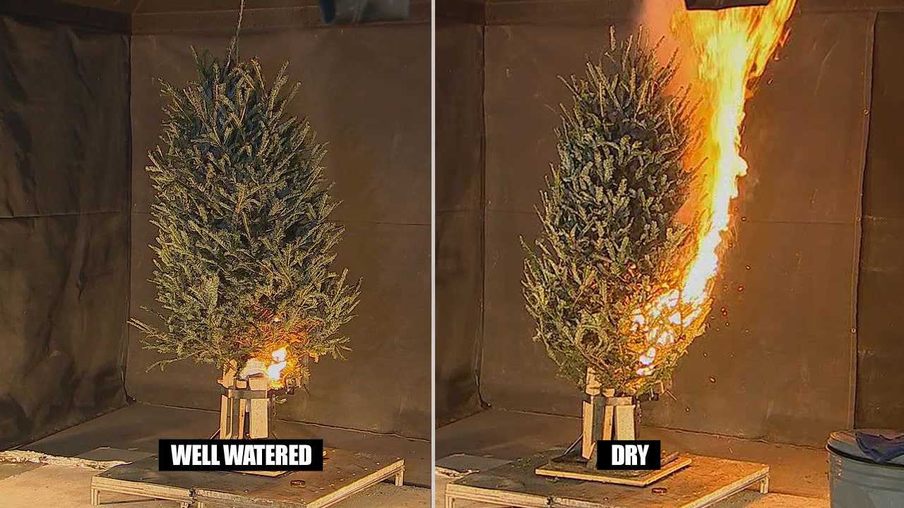 Demonstration shows how fast Christmas tree fires can spread if tree