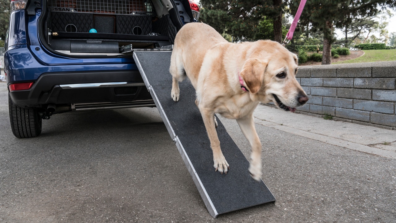 This SUV has everything -- for dogs