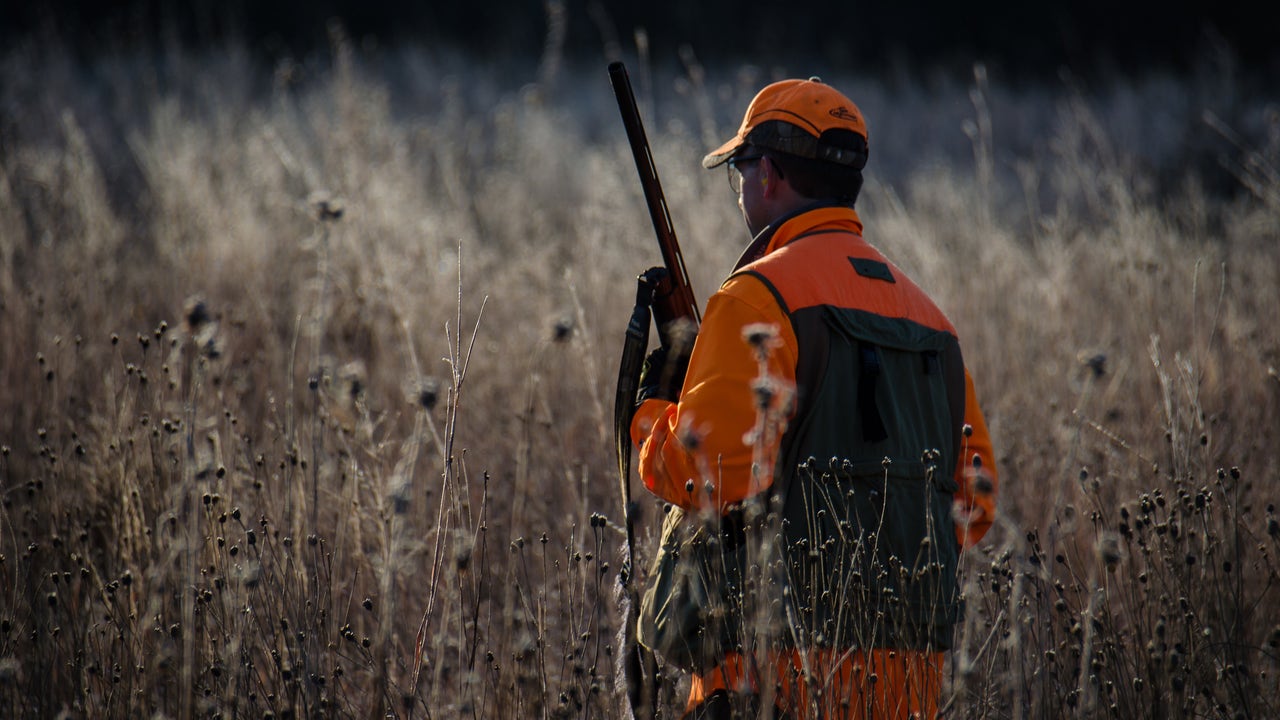 Man shot while bird hunting with family after shotgun falls, fires in ...