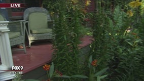 Tangletown Garden & Art Tour in Minneapolis