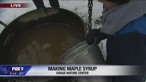 Making Maple Syrup at Dodge Nature Center