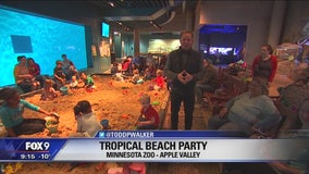 Escape from winter at Minnesota Zoo's Tropical Beach Party