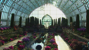 Como Park conservatory to reopen on Monday after COVID closure