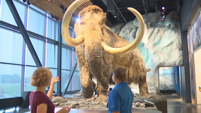 University of Minnesota's Bell Museum now open in St. Paul, Minn.
