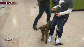 Doggie Depot at St. Paul Union Depot
