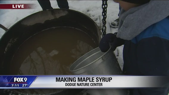 Making Maple Syrup at Dodge Nature Center