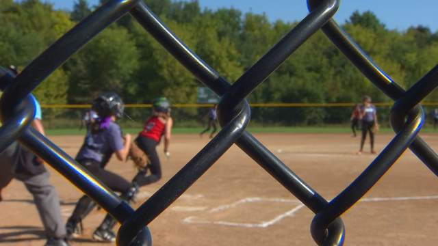 Charges: Former Lakeville South softball coach stole more than $15,000 from booster club