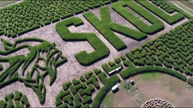 Minnesota Vikings depicted in state's largest corn maze