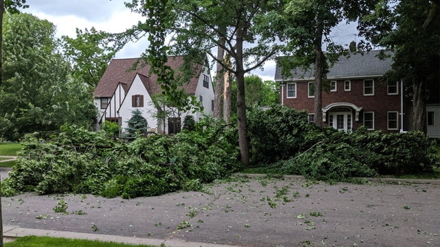 Trees down, power outages reported in parts of Minnesota, Wisconsin