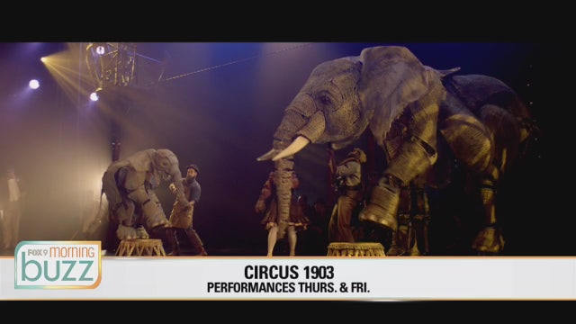 Experience the golden age of circus at 'Circus 1903'