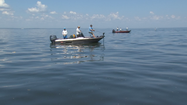 Minnesota DNR announces year-round catch-and-release bass fishing season