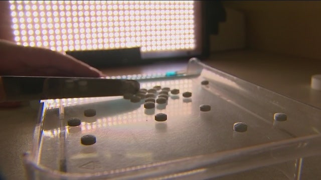 Doctors among 412 charged in largest opioid and health care fraud takedown in US history