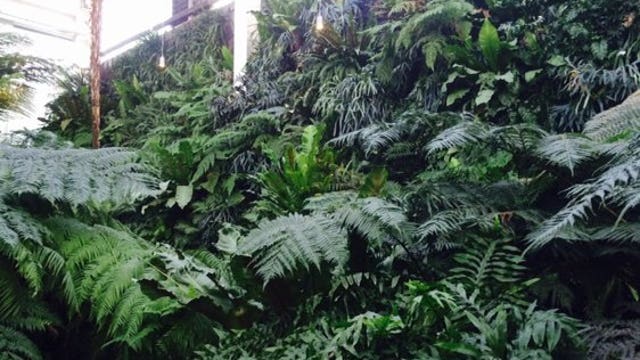 Why you should visit more botanical gardens in 2016