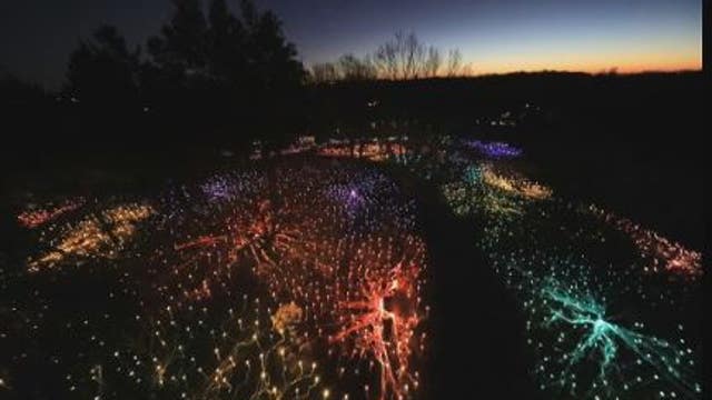 Landscape Arboretum winter light show