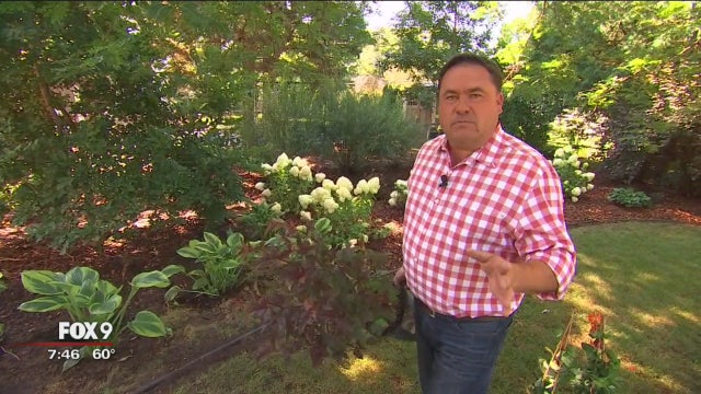 It's not too late to start a landscaping project