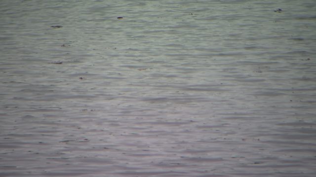 Man found dead, face down in northwest Minnesota lake