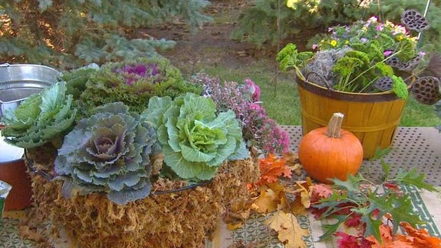 Rejuvenate hanging baskets for fall