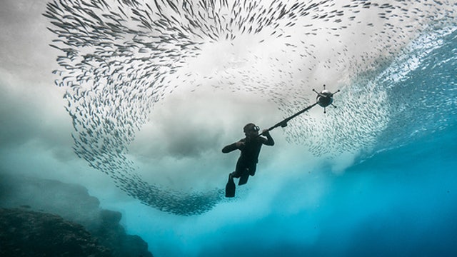 Virtual Reality: The New Frontier at Walker Art Center