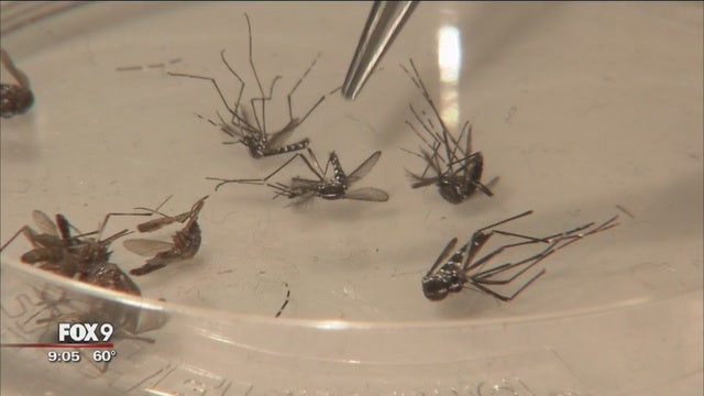 1st confirmed case of Zika virus in Wisconsin