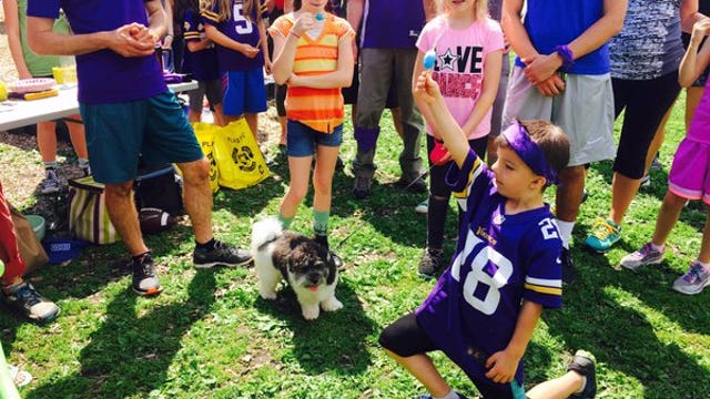 'Hey Teddy' star celebrates 7th birthday with Vikings-themed party