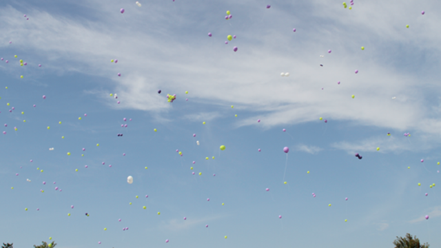 10th Minnesota Hope and Hearts Run