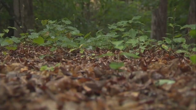 Hunter uncovers body of man last seen at Blue Earth County Jail near Mankato