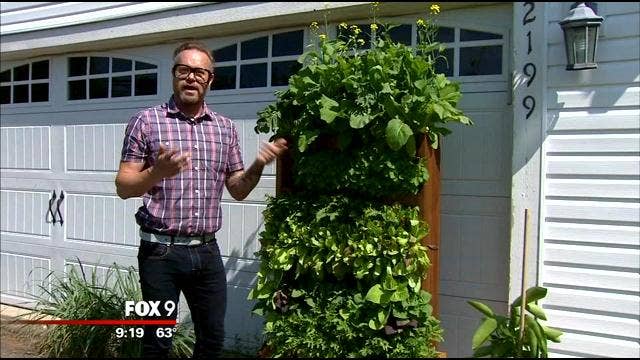 Gronomics elevated gardening beds