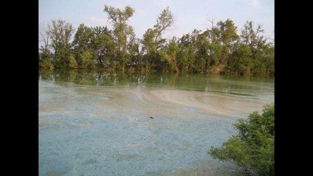 MPCA: Toxic blue-green algae may already be in Minn. lakes