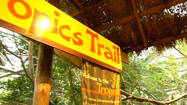 How to escape to the tropics in Minnesota