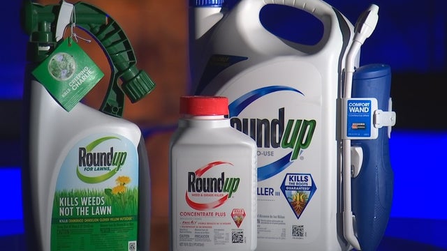 Roundup ready... or not?