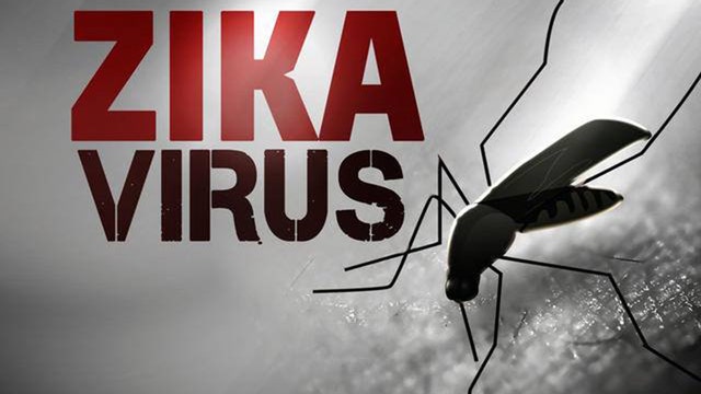 U.N. agency lifts Zika emergency, prepares for long-term fight