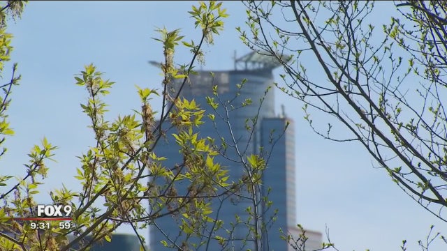 Held back by deep freeze, allergy season returns in full force