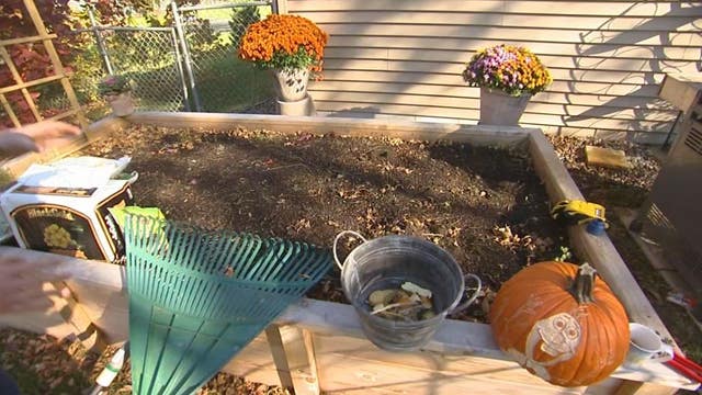 Gardening in the falls pays off in the spring
