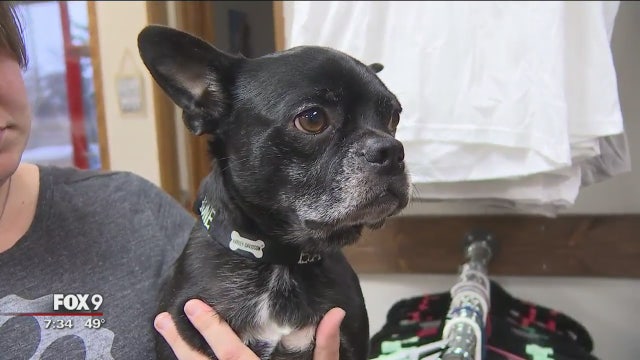 8th annual 'Give to the Max Day'